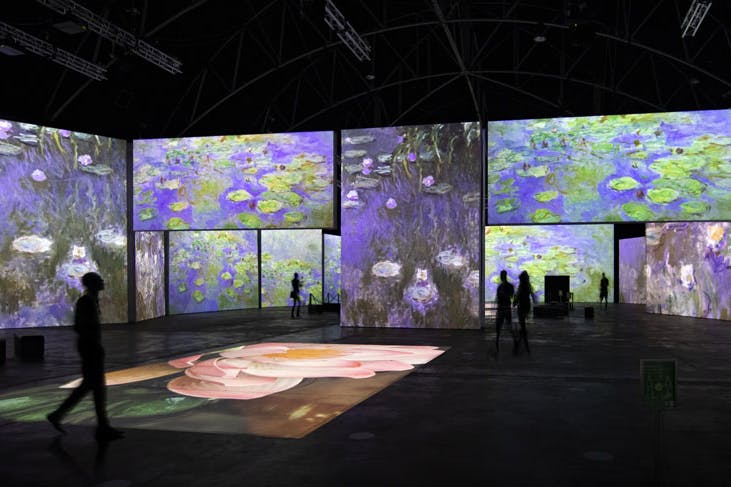 Monet's Water Lilies projected onto screens for the Monet and Friends Grande Experiences exhibition.